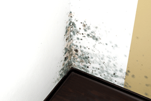Avoiding Mold Growth In The Drip Pan Of Your Air Conditioner