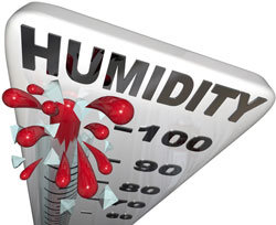 Is Your Northeast Ohio Home's A/C Able to Handle Its Dehumidification Role?