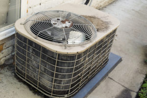 How to Prevent and Treat Animal Damage to Your HVAC 