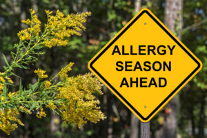 How to Reduce Fall Allergens Indoor