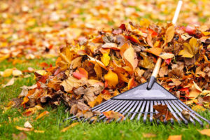 Keeping Your Outdoor HVAC Unit Safe During Lawn Care