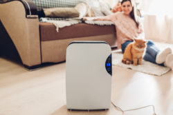 What Air Experts Don't Tell You About Whole Home vs. Room Air Purifiers